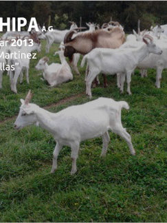 sociedad producción animal sochipa