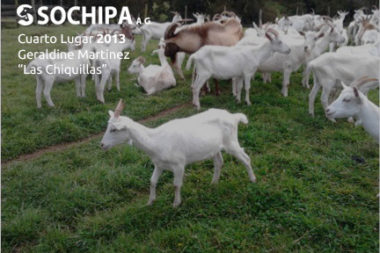 sociedad producción animal sochipa