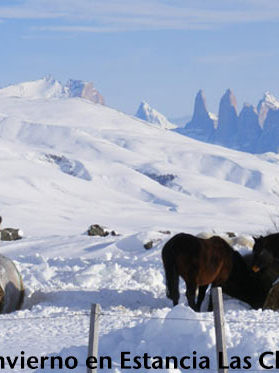 Concurso Fotográfico SOCHIPA A.G. 2015