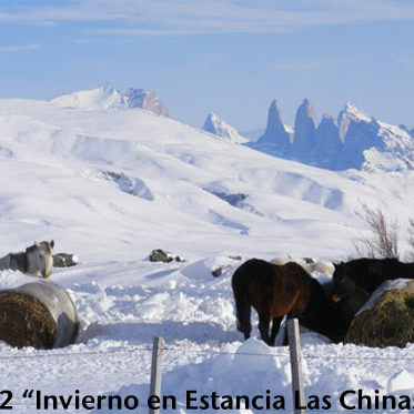 Concurso Fotográfico SOCHIPA A.G. 2015