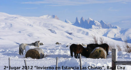 Concurso Fotográfico SOCHIPA A.G. 2015