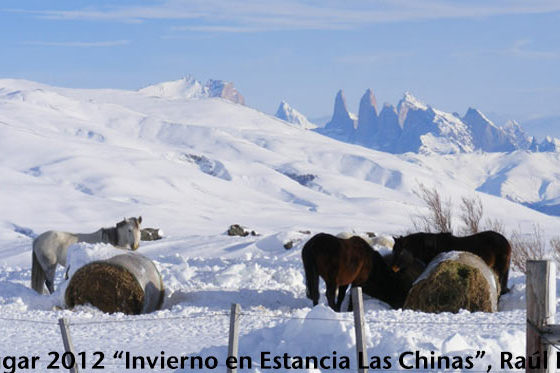 Concurso Fotográfico SOCHIPA A.G. 2015