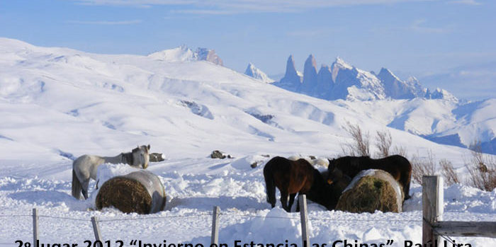 Concurso Fotográfico SOCHIPA A.G. 2015