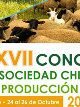 Congreso-Catillo-2012