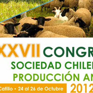 Congreso-Catillo-2012