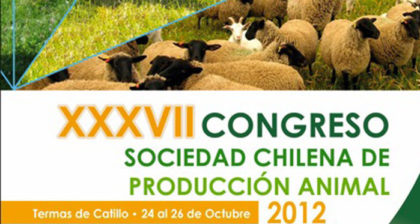 Congreso-Catillo-2012
