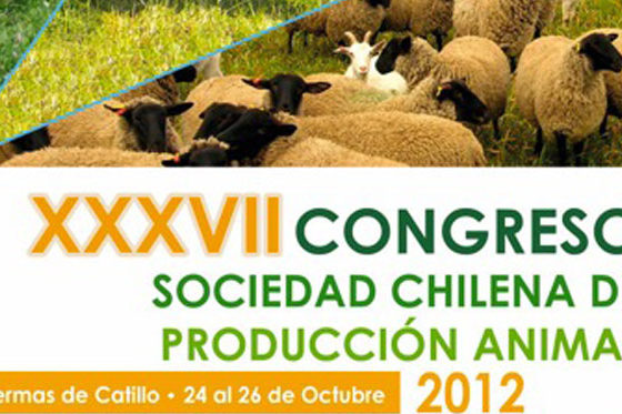 Congreso-Catillo-2012
