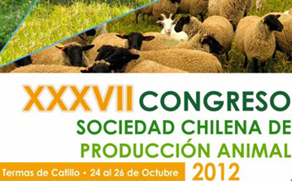 Congreso-Catillo-2012
