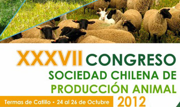 Congreso-Catillo-2012