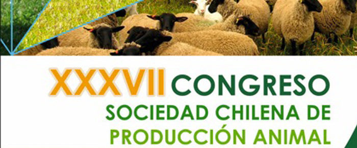 Congreso-Catillo-2012