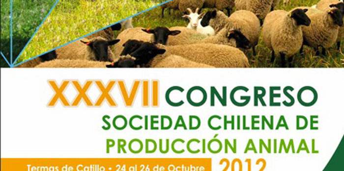 Congreso-Catillo-2012