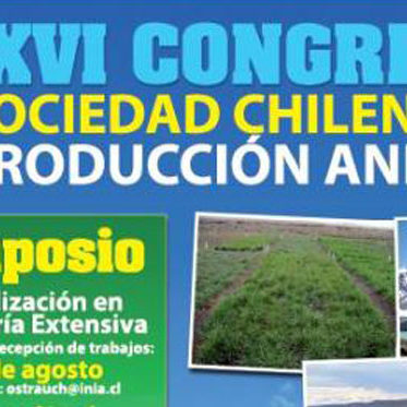 Congreso Punta Arenas 2011