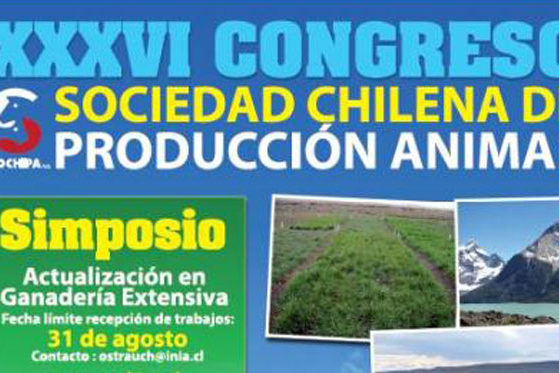 Congreso Punta Arenas 2011