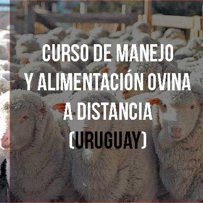 Curso de Manejo y alimentación ovina a distancia (Uruguay)