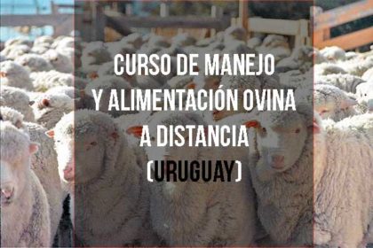 Curso de Manejo y alimentación ovina a distancia (Uruguay)