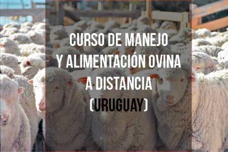 Curso de Manejo y alimentación ovina a distancia (Uruguay)