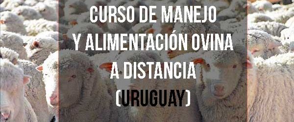 Curso de Manejo y alimentación ovina a distancia (Uruguay)