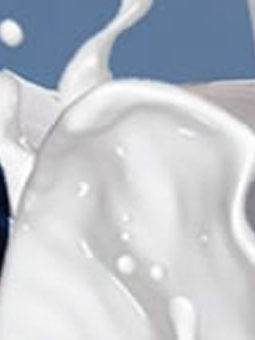 Odepa presenta Boletin de la Leche