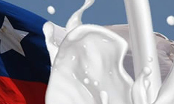 Odepa presenta Boletin de la Leche