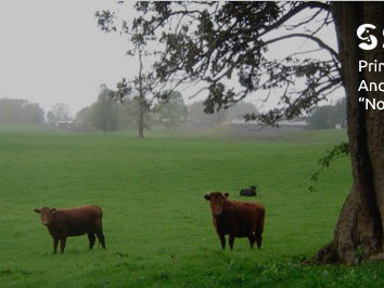 sociedad producción animal sochipa