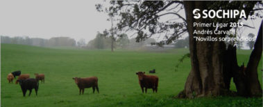 sociedad producción animal sochipa