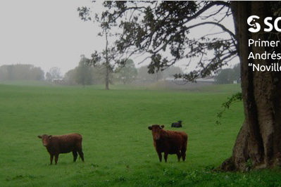 sociedad producción animal sochipa