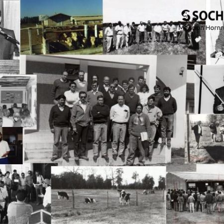 sociedad producción animal sochipa