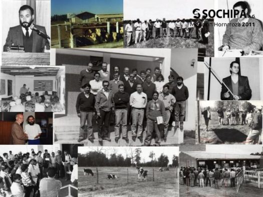 sociedad producción animal sochipa