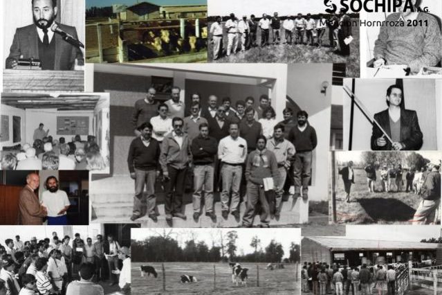 sociedad producción animal sochipa