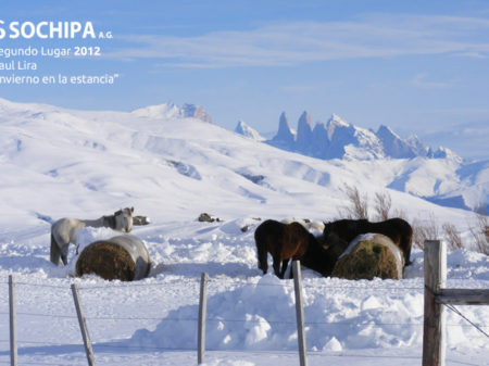 sociedad producción animal sochipa