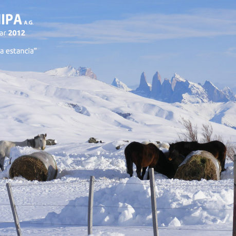 sociedad producción animal sochipa