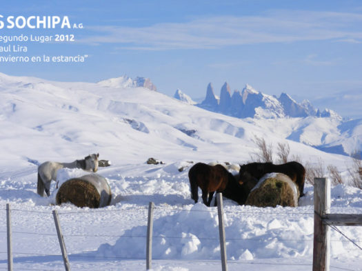 sociedad producción animal sochipa