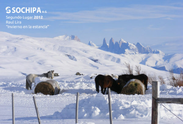 sociedad producción animal sochipa