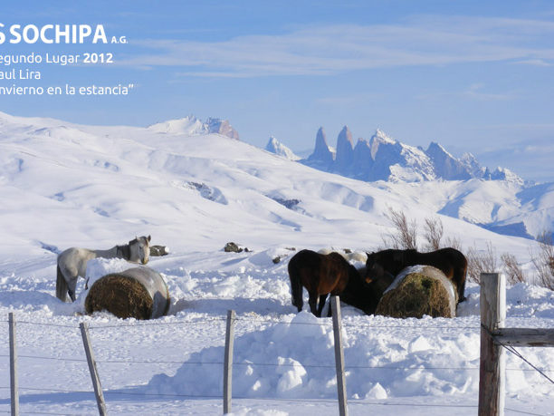 sociedad producción animal sochipa