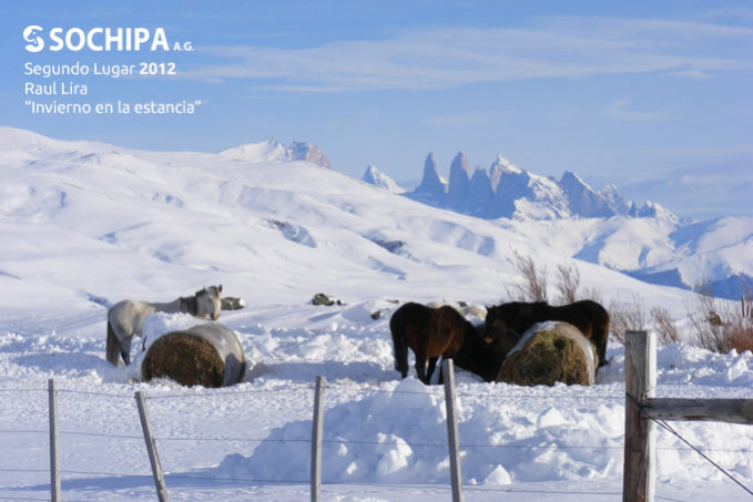 sociedad producción animal sochipa