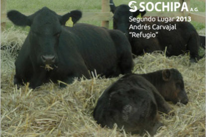 sociedad producción animal sochipa