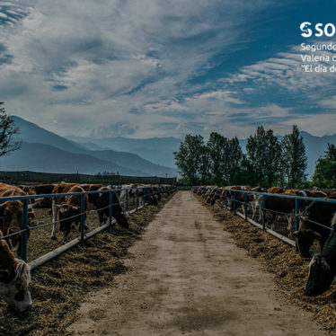 sociedad producción animal sochipa