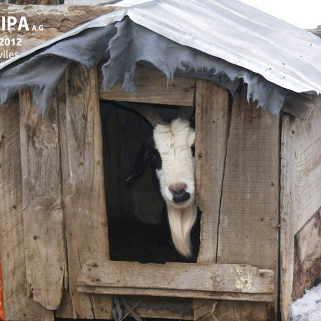 sociedad producción animal sochipa