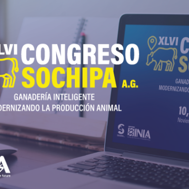 XLVI CONGRESO SOCHIPA 2021
