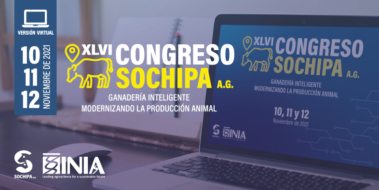 XLVI CONGRESO SOCHIPA 2021