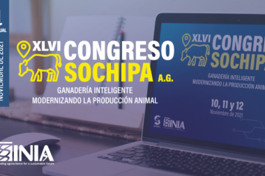 XLVI CONGRESO SOCHIPA 2021