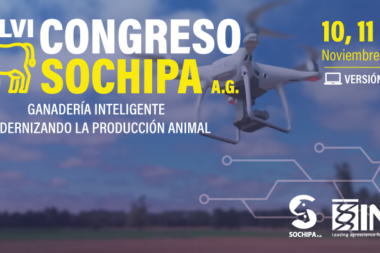 XLVI Congreso SOCHIPA 2021 CHILE VIRTUAL