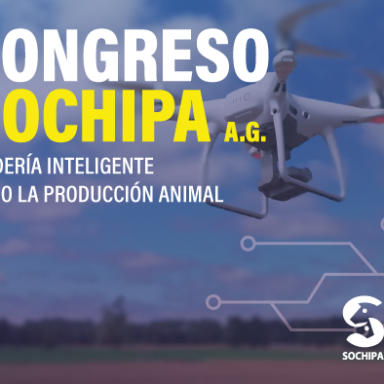 XLVI Congreso SOCHIPA 2021 CHILE VIRTUAL