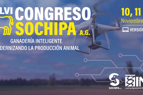 XLVI Congreso SOCHIPA 2021 CHILE VIRTUAL XLVI Congreso SOCHIPA 2021 CHILE VIRTUAL