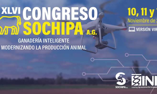 XLVI Congreso SOCHIPA 2021 CHILE VIRTUAL XLVI Congreso SOCHIPA 2021 CHILE VIRTUAL