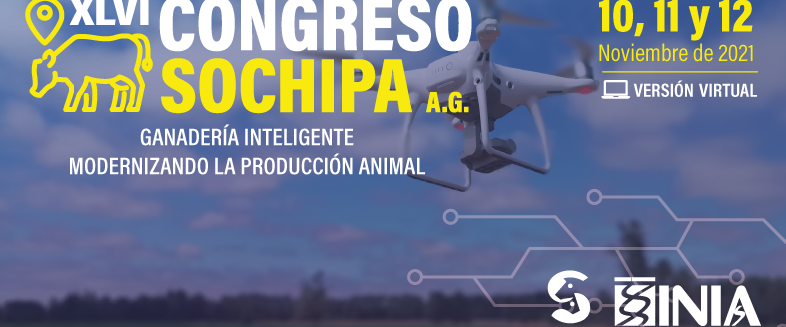XLVI Congreso SOCHIPA 2021 CHILE VIRTUAL XLVI Congreso SOCHIPA 2021 CHILE VIRTUAL