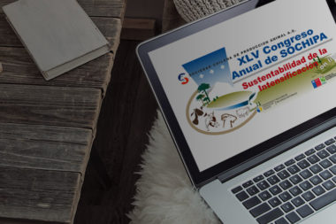 xlv-congreso-anual-sochipa-2020