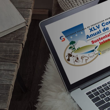 xlv-congreso-anual-sochipa-2020