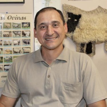 Alvaro Ferrada Ringele