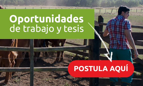 Opotunidades-de-trabajo-1